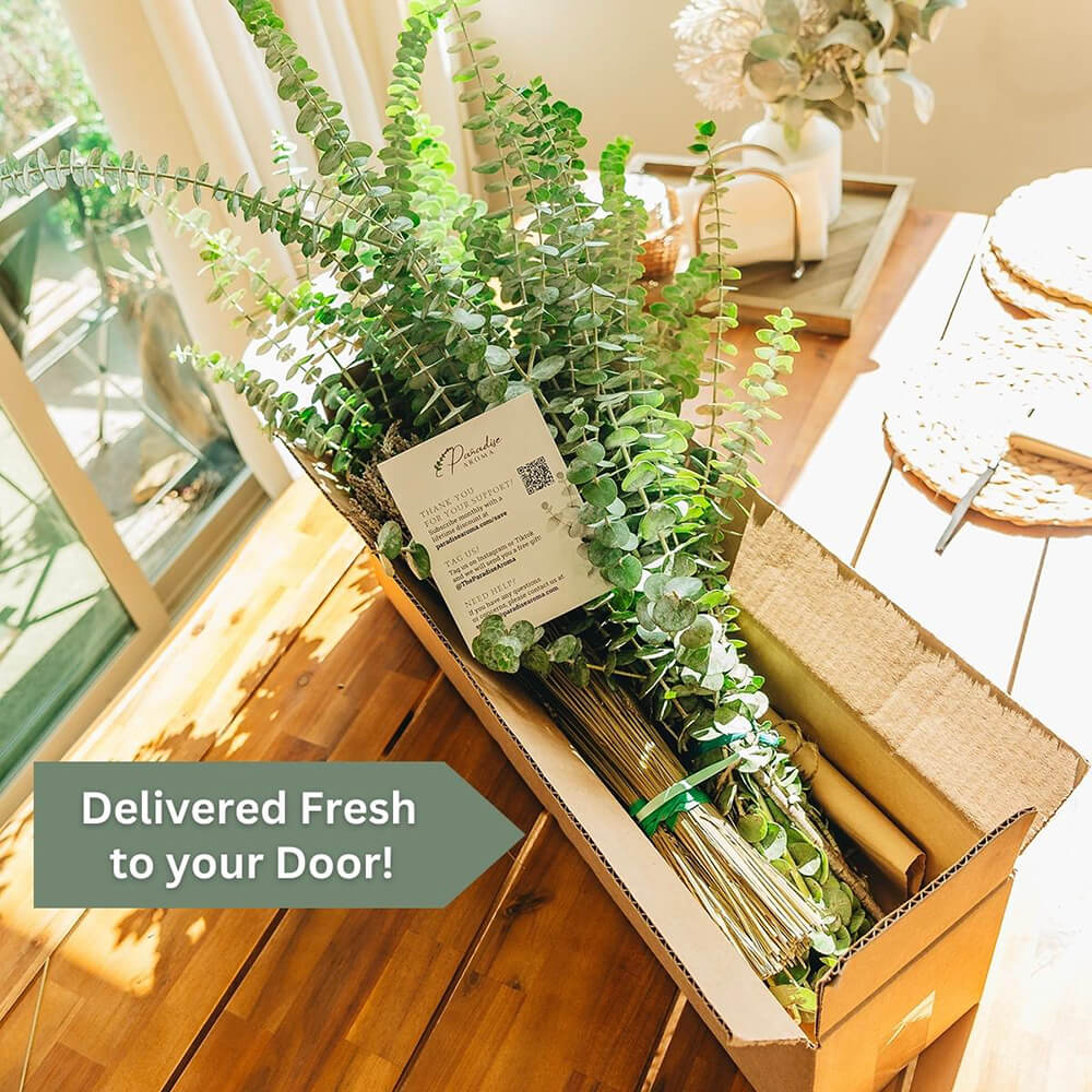 Fresh Eucalyptus Shower Bundle