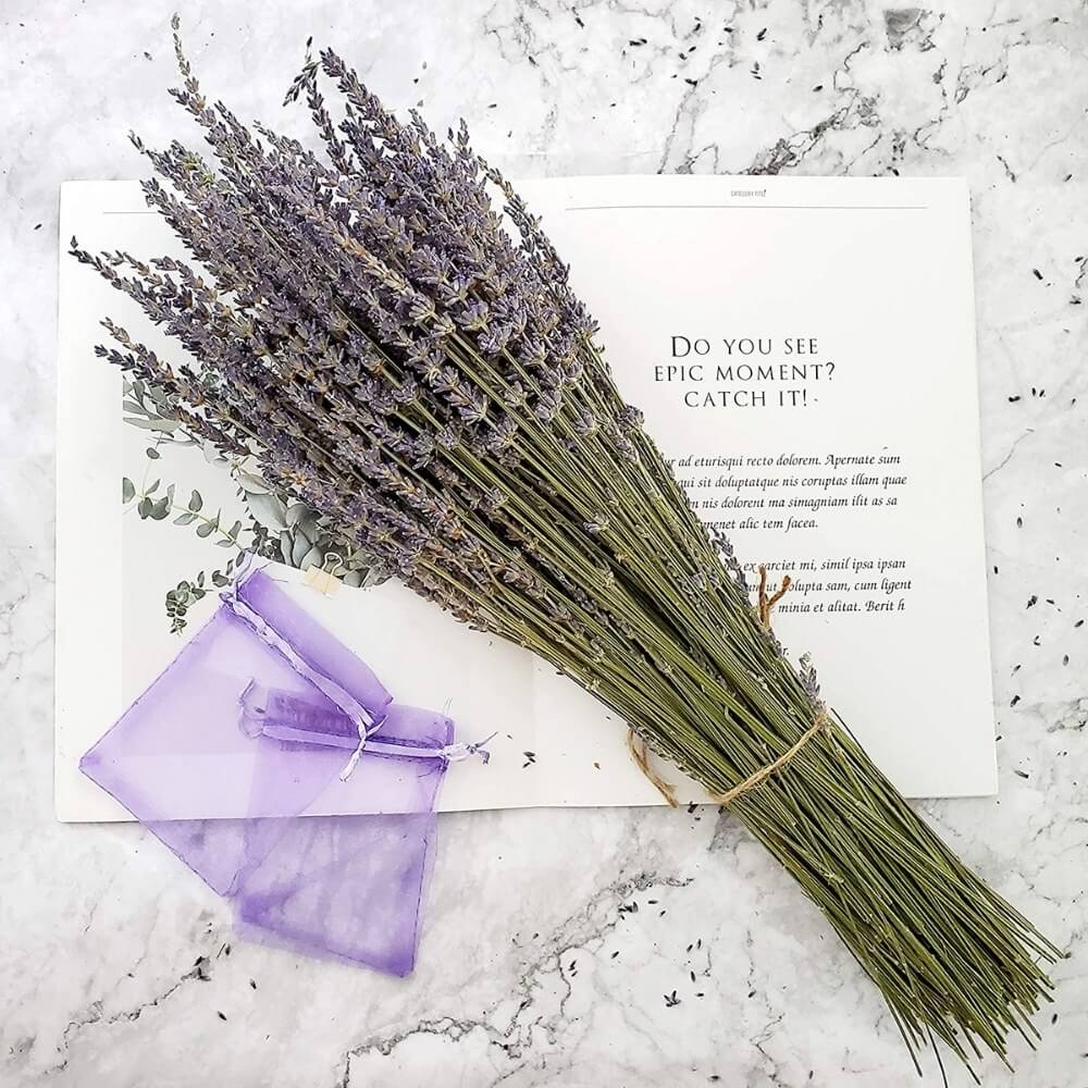 Lavender Upgrade (Add-On)