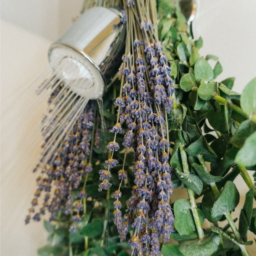Lavender Upgrade (Add-On)