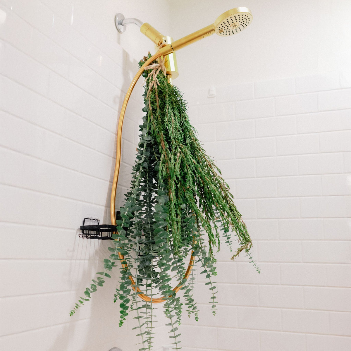 Fresh Eucalyptus + Rosemary Shower Bundle