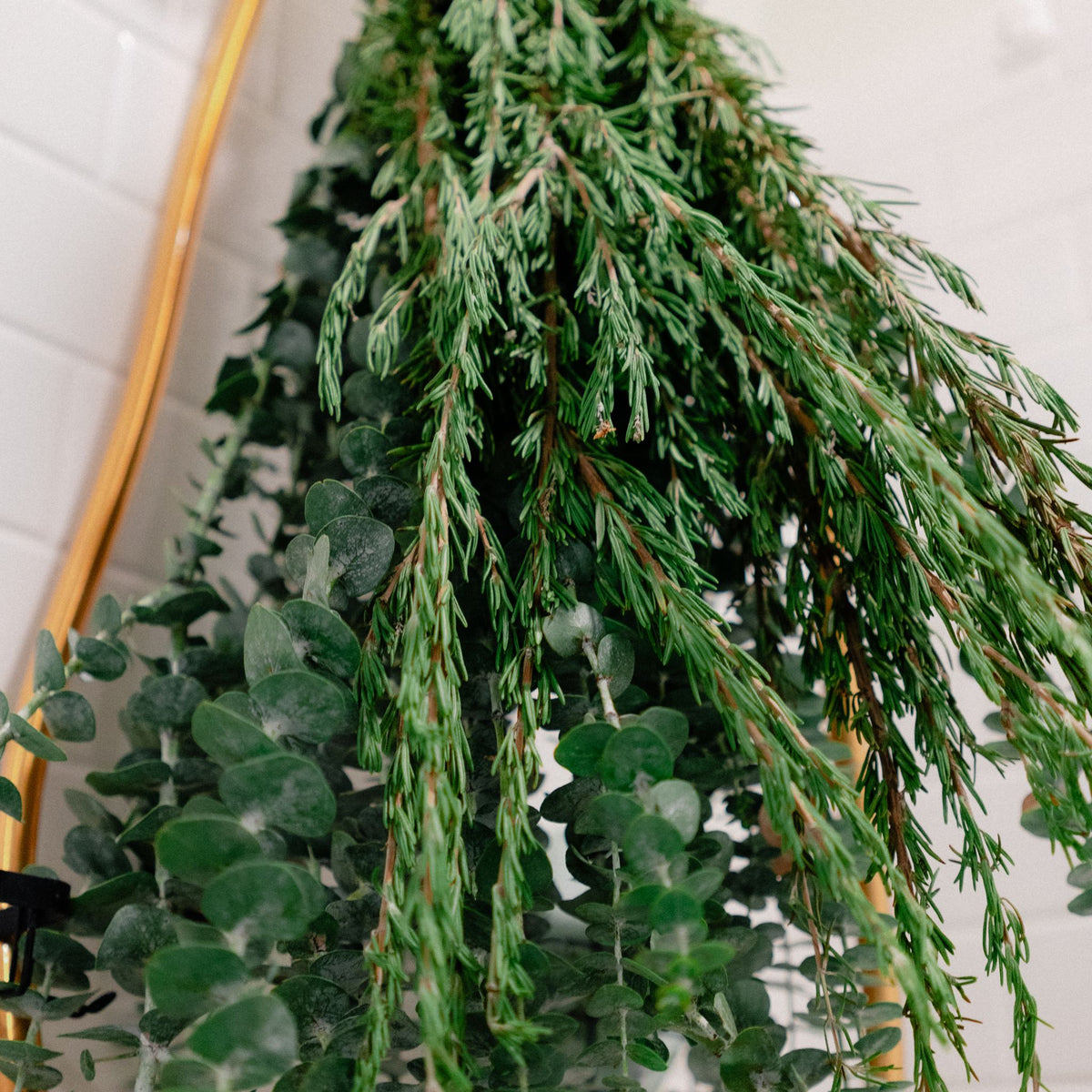 Fresh Eucalyptus + Rosemary Shower Bundle